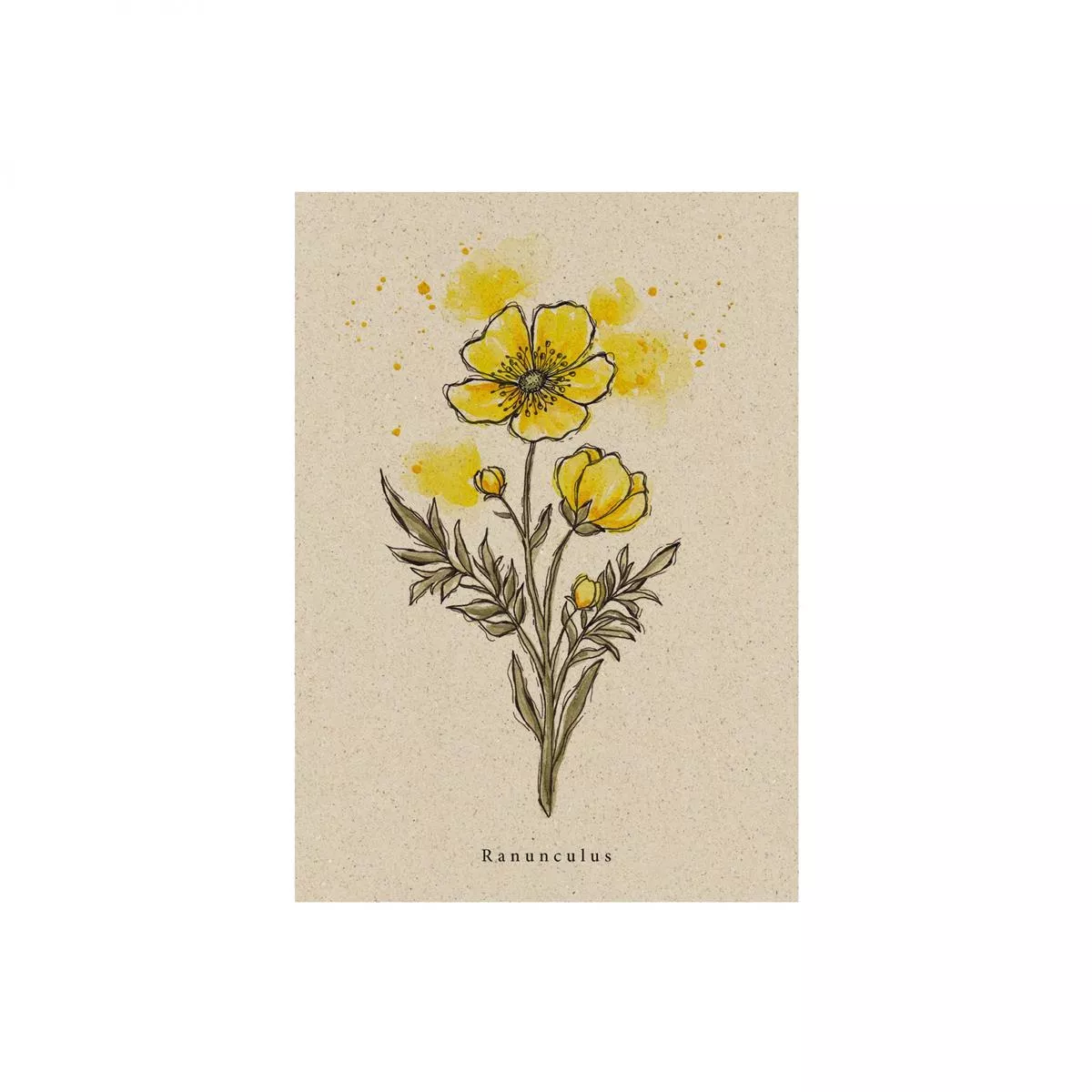 Postkarte Hahnenfuß