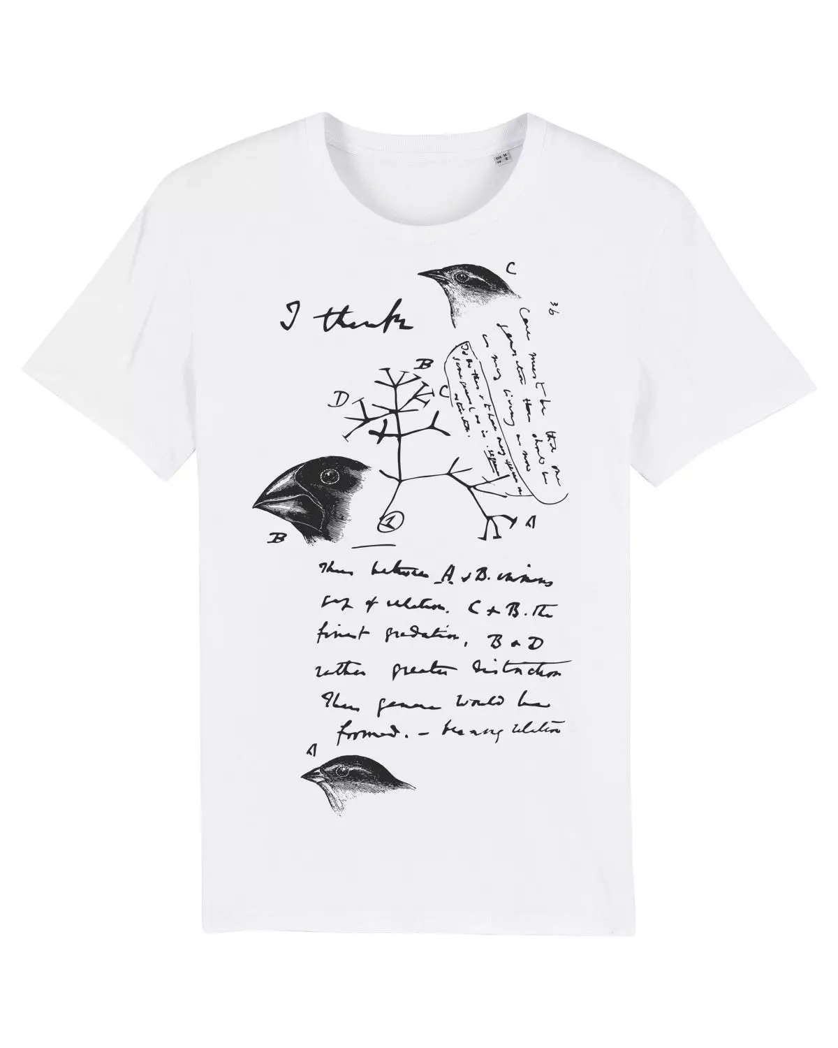 Science-T-Shirt Biologie Modell: Evolutionstheorie