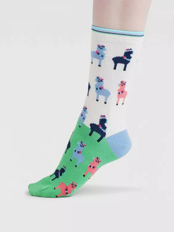 Socken Modell: Clara Rainbow Lama