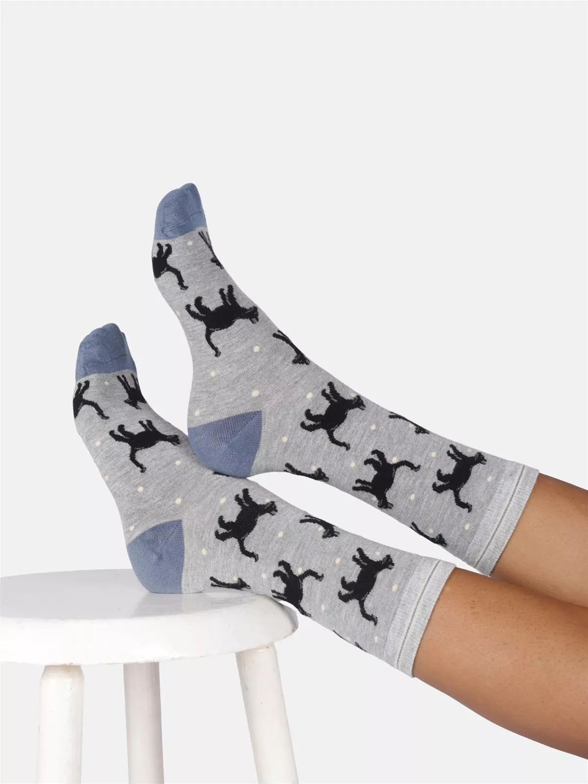 Socken Modell: Cats & Dogs