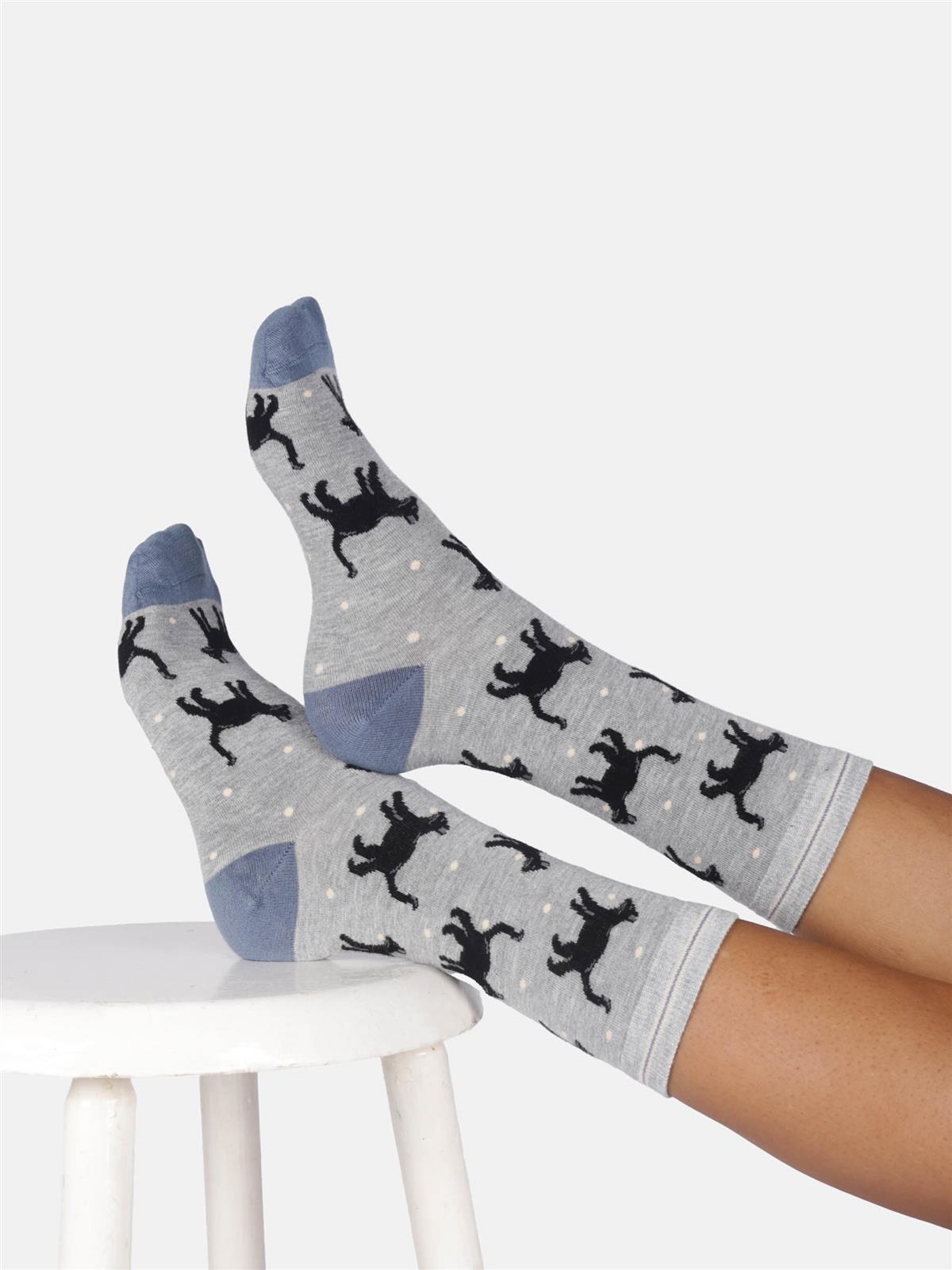 Socken Modell: Cats & Dogs