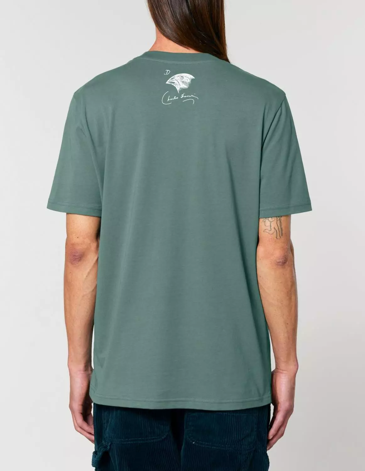 bio1_model_creator_back_greenbay.jpg Science-T-Shirt Biologie Modell: Evolutionstheorie