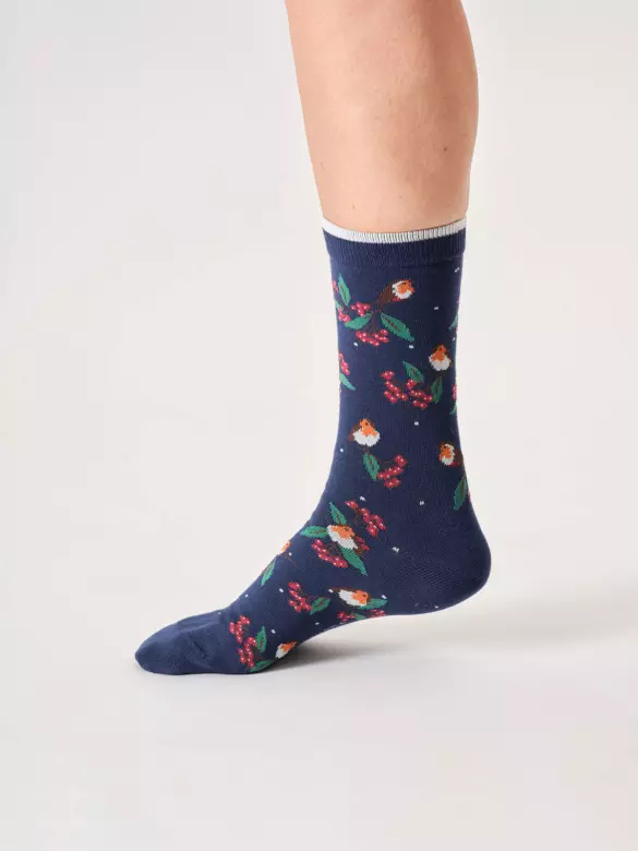 p2820025_484722_3_6749cfbfd59b6 Socken Modell: Winter Robin