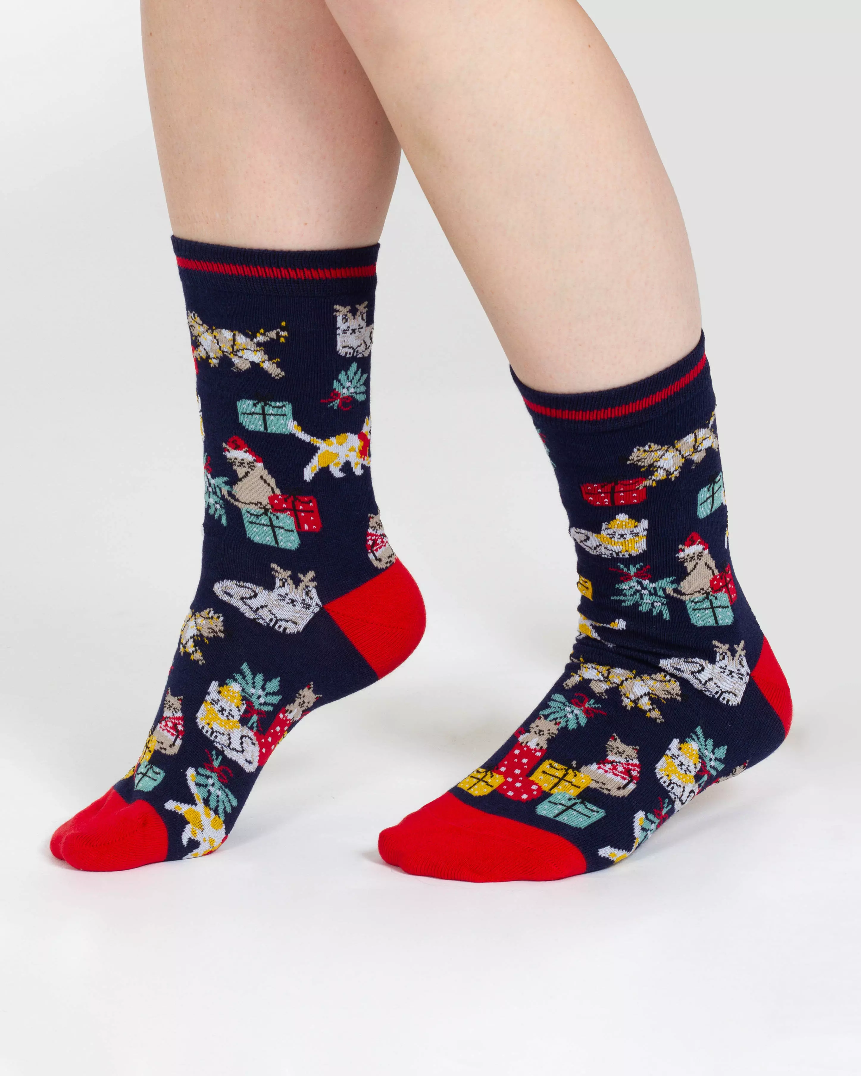 Socken Modell: Christmas Pet