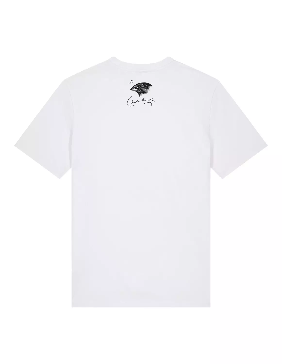 Science-T-Shirt Biologie Modell: Evolutionstheorie