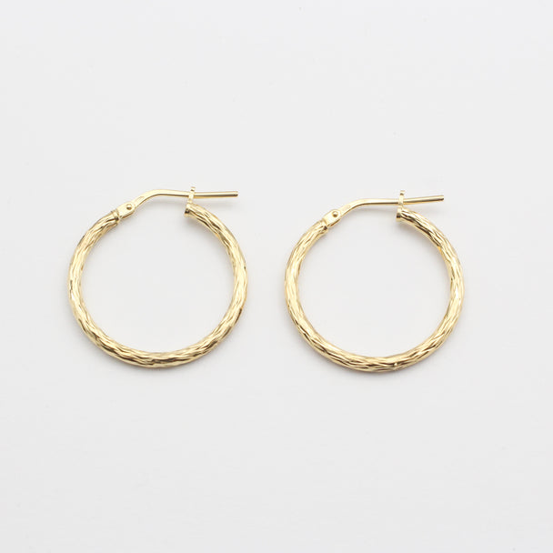 Kreolen Modell: Shiny Hoop