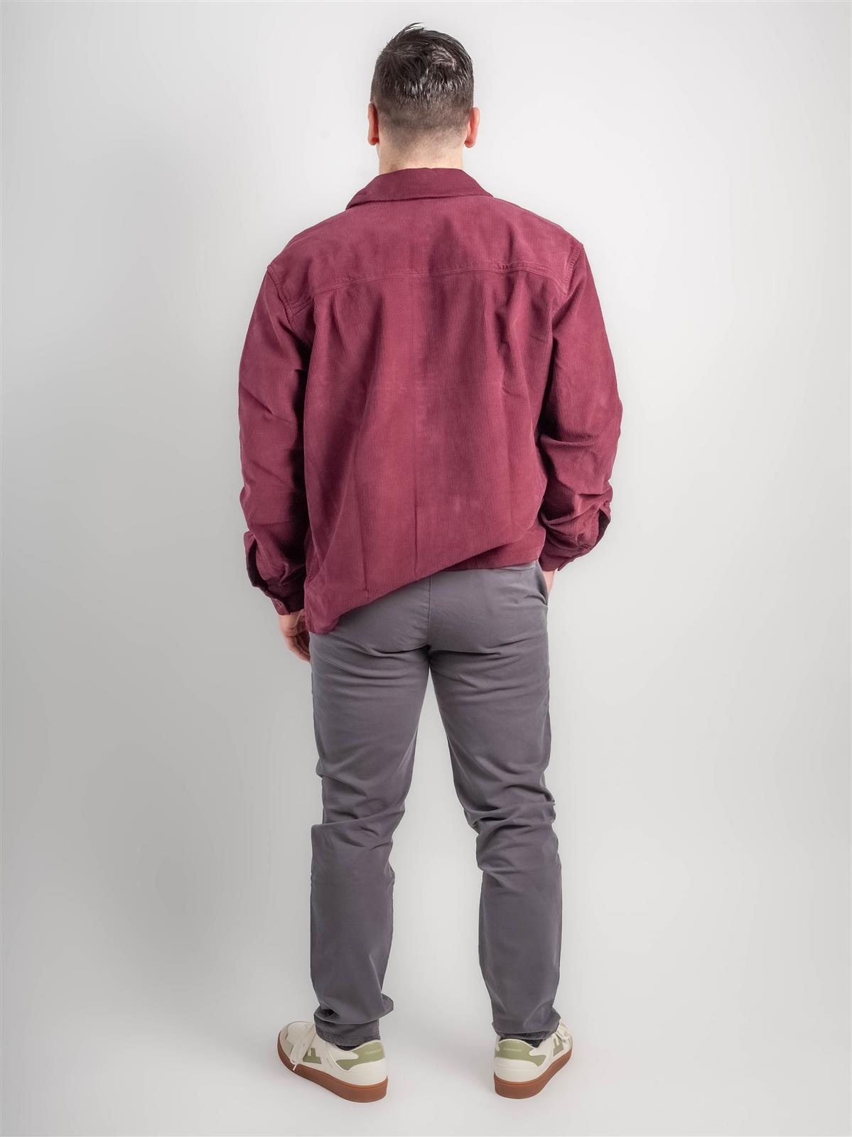 Regular Fit Chino