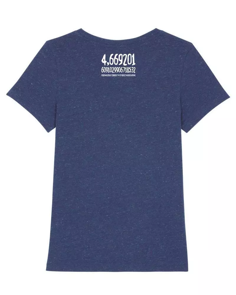 Mat1 Back Expresser Heather Snow Mid Blue Mathematik T-Shirt Bifurkation