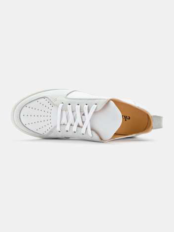 Sneaker Argan Low