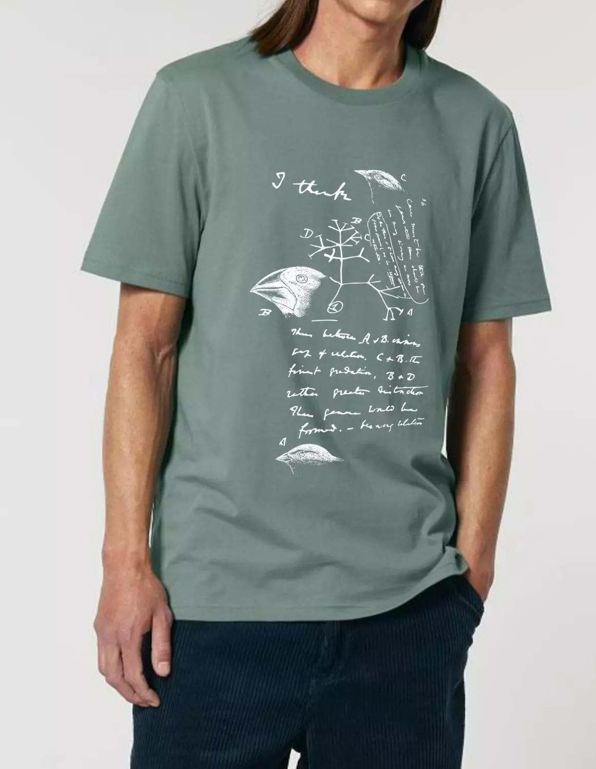 bio1_model_creator_front_greenbay.jpg Science-T-Shirt Biologie Modell: Evolutionstheorie