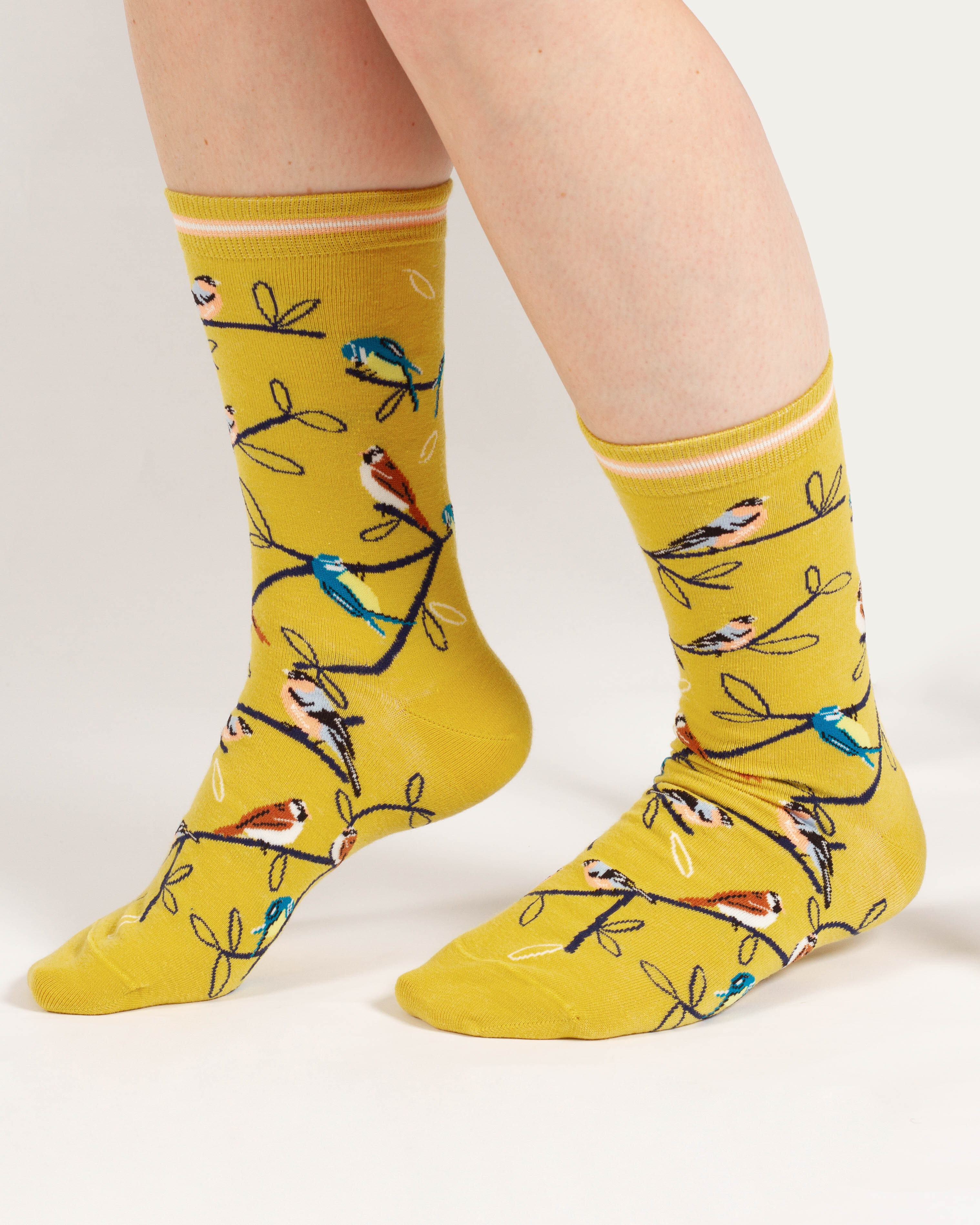 Socken Modell: Multi Bird