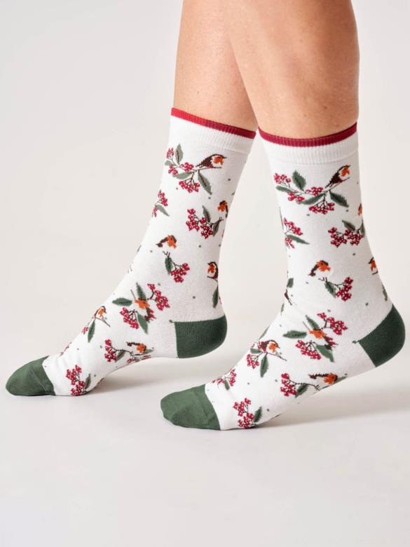 Socken Modell: Winter Robin