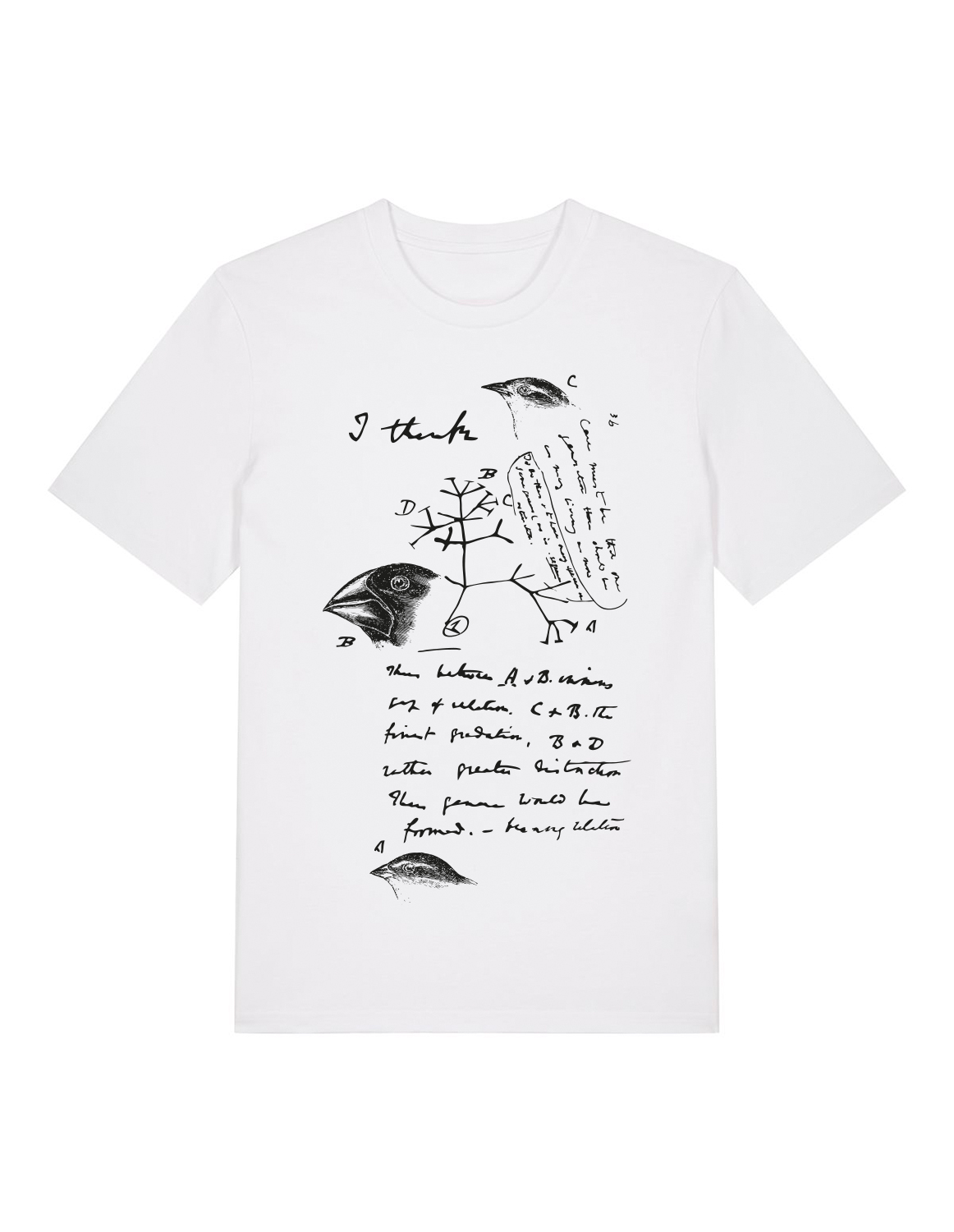 Science-T-Shirt Biologie Modell: Evolutionstheorie