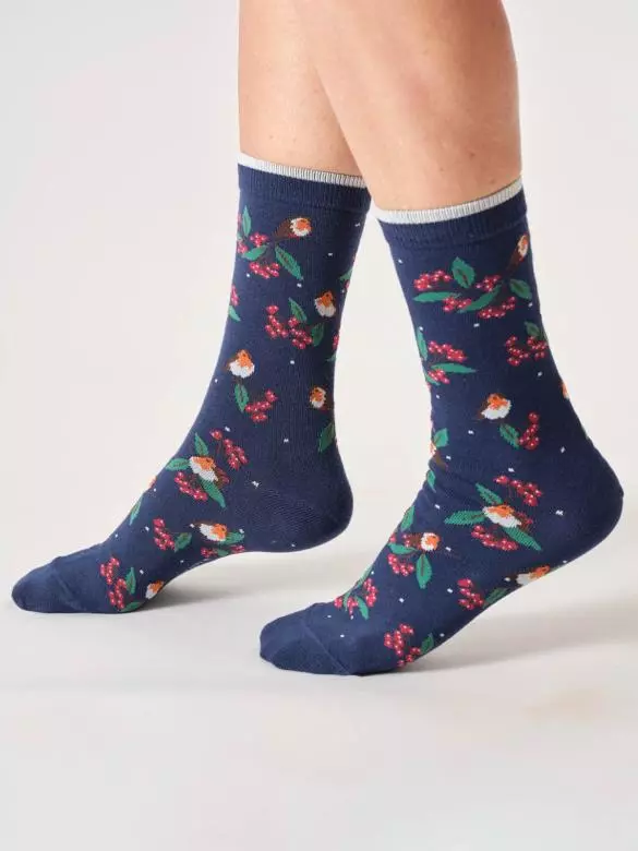 p2820025_484722_2_6749cfbf68d9e Socken Modell: Winter Robin