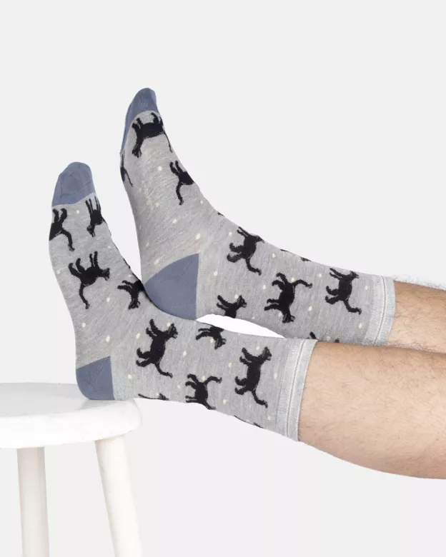 Socken Modell: Cats & Dogs