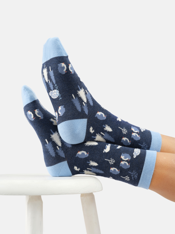 Socken Modell: Arctic Friends