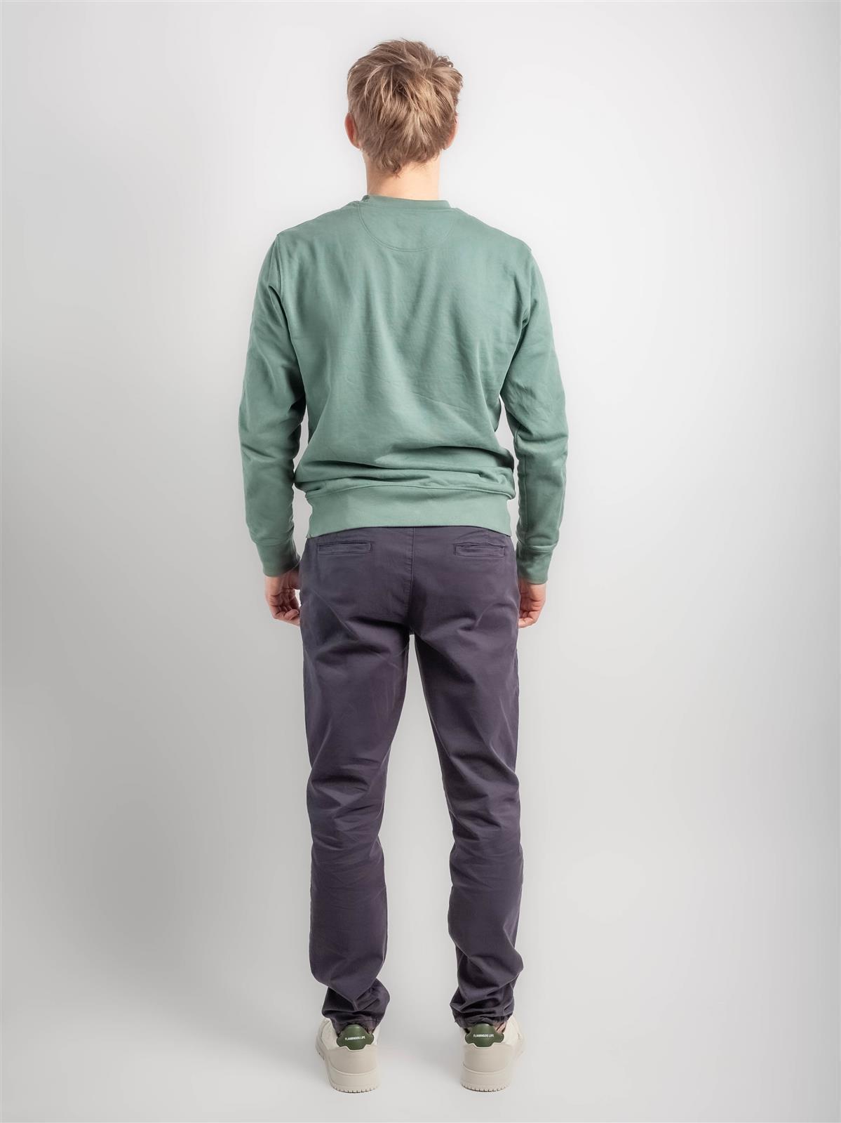 Regular Fit Chino