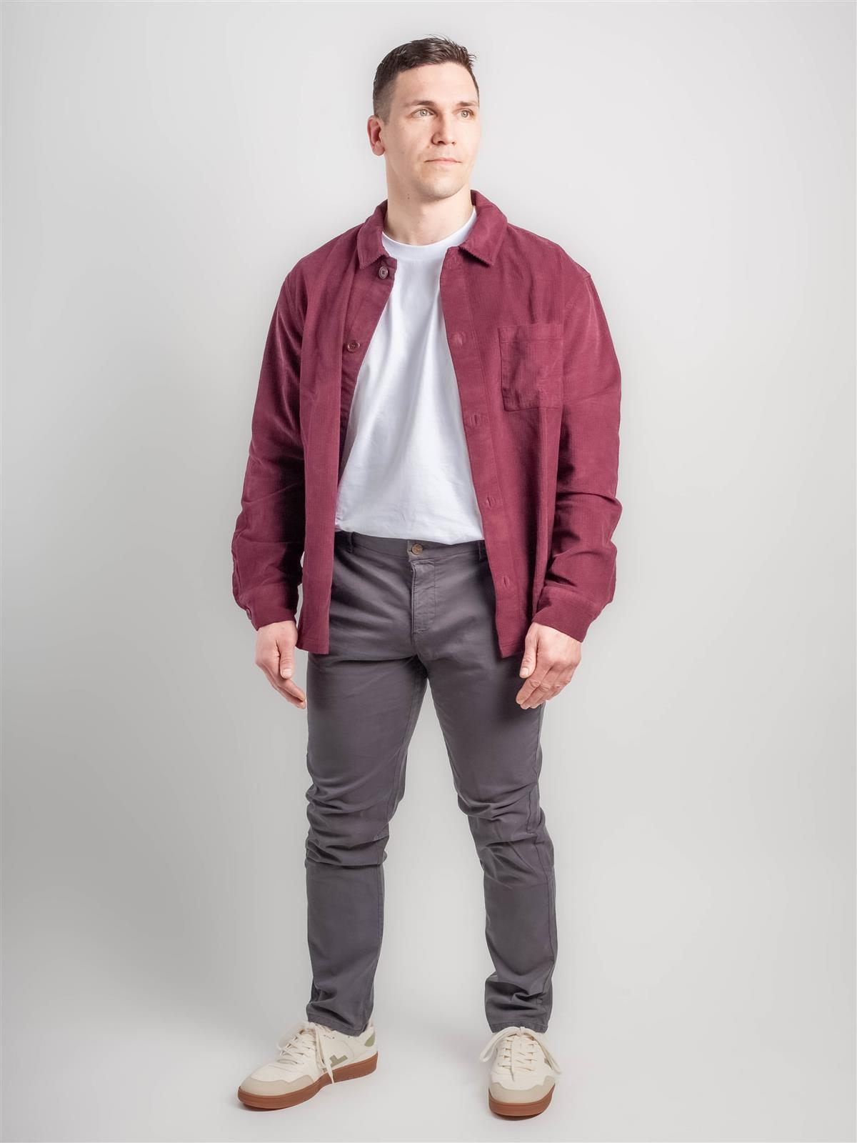 Regular Fit Chino