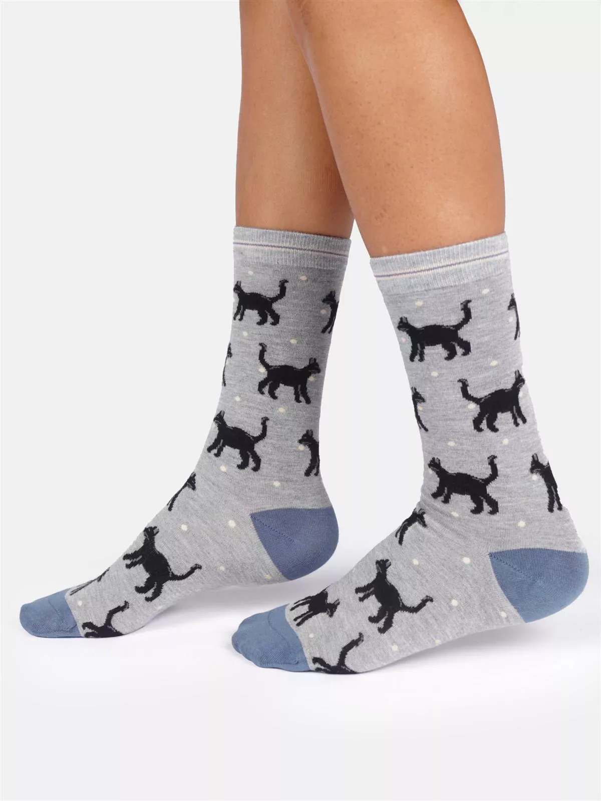 Socken Modell: Cats & Dogs