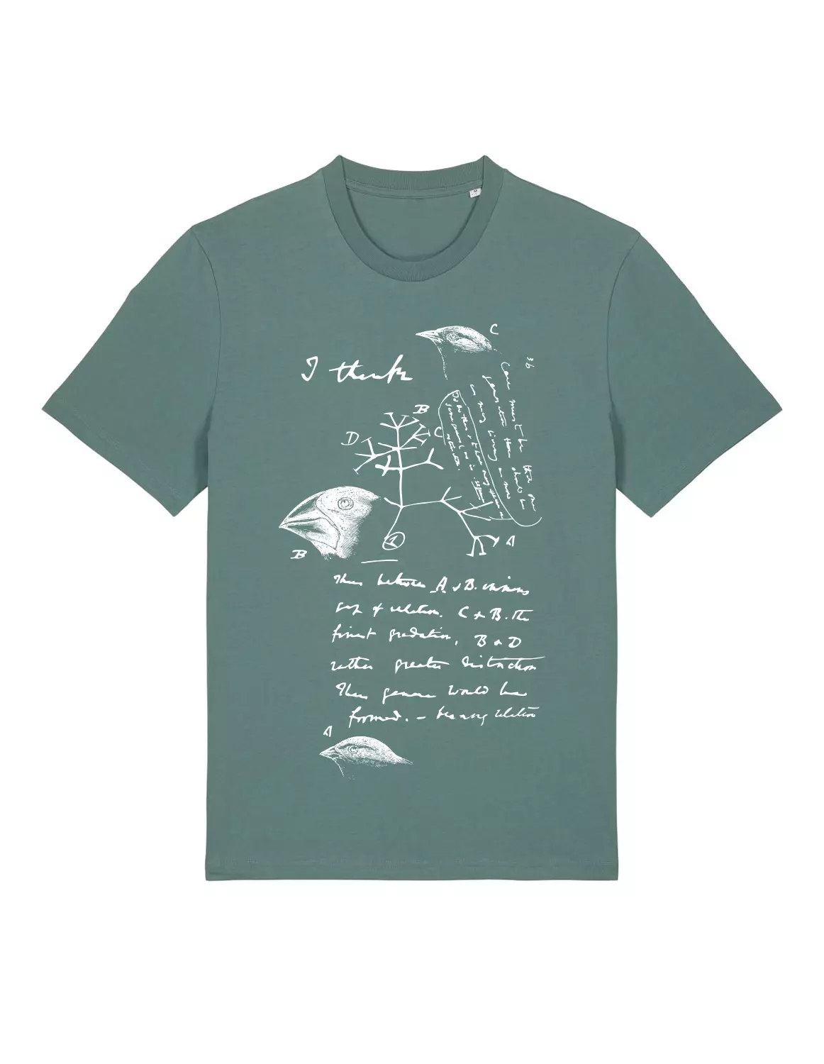 Science-T-Shirt Biologie Modell: Evolutionstheorie