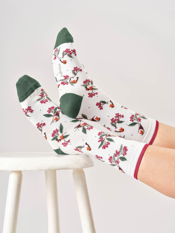 Socken Modell: Winter Robin