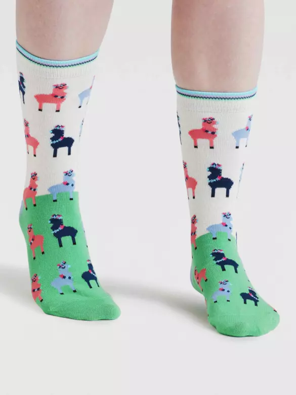 Socken Modell: Clara Rainbow Lama