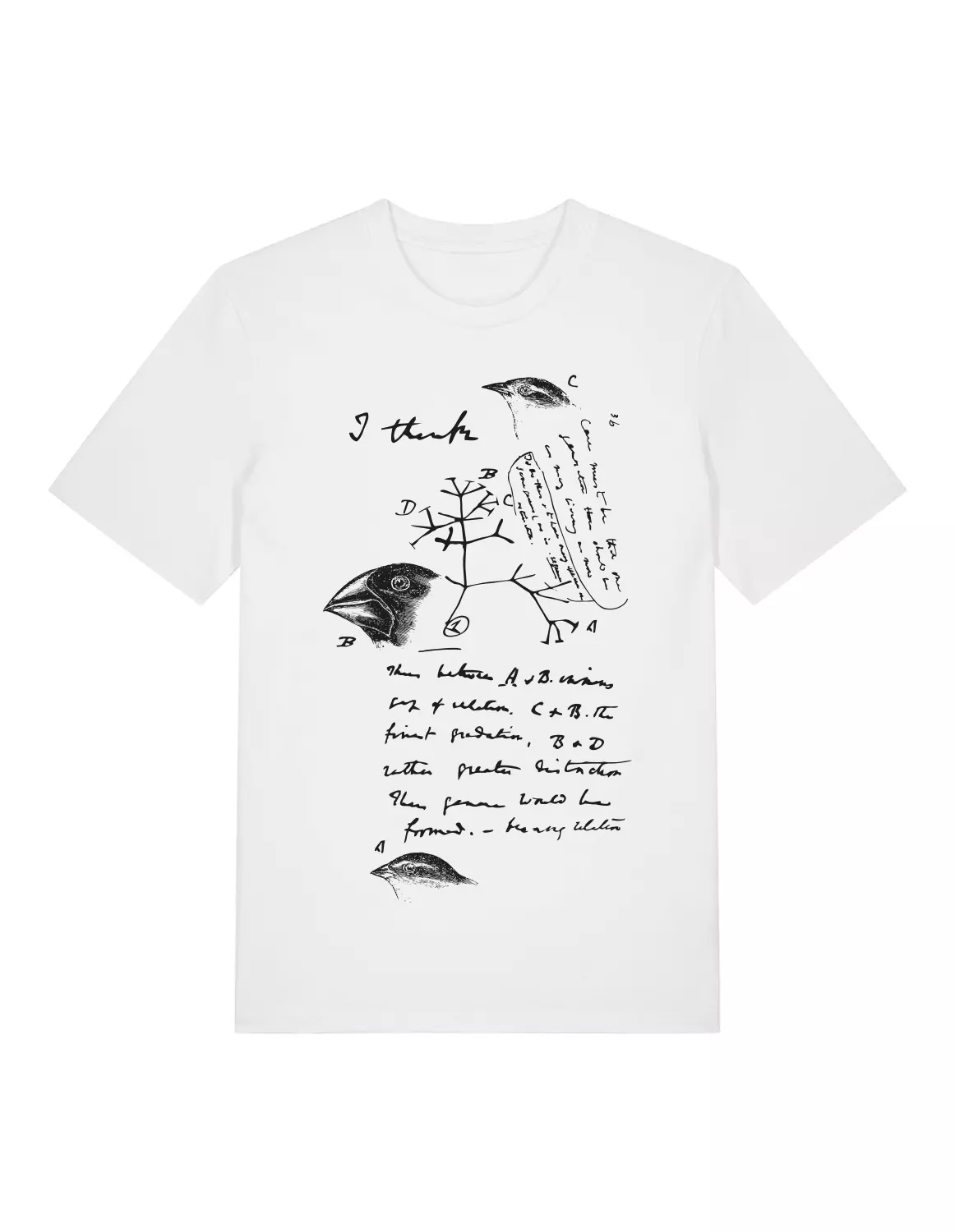 Science-T-Shirt Biologie Modell: Evolutionstheorie