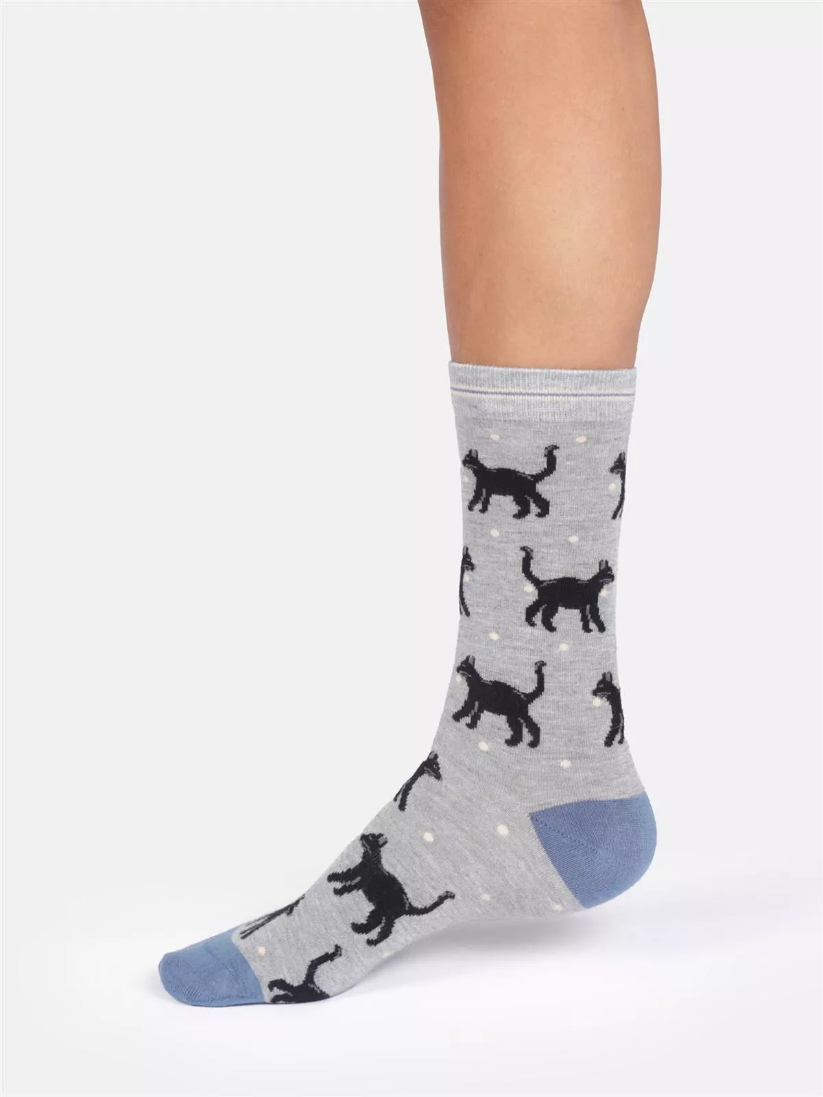 Socken Modell: Cats & Dogs
