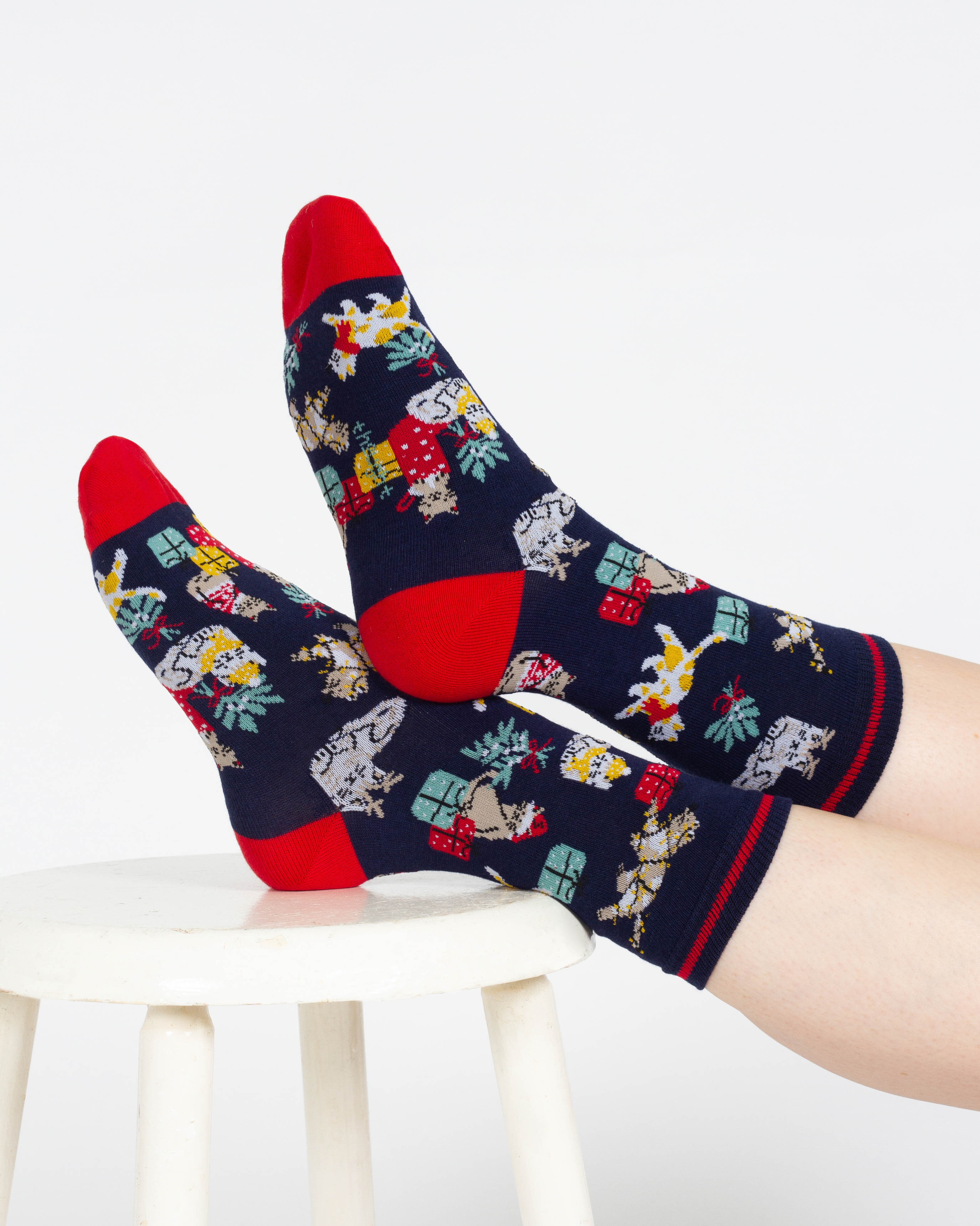 Socken Modell: Christmas Pet