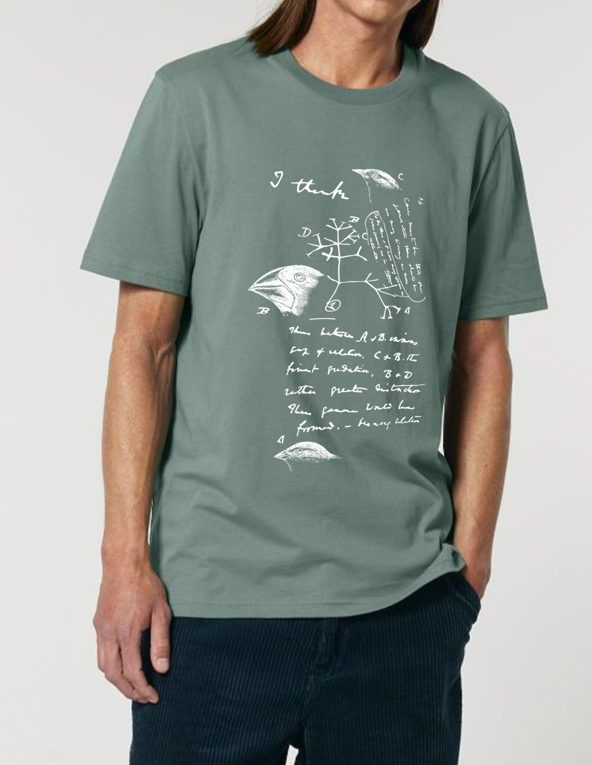 Science-T-Shirt Biologie Modell: Evolutionstheorie