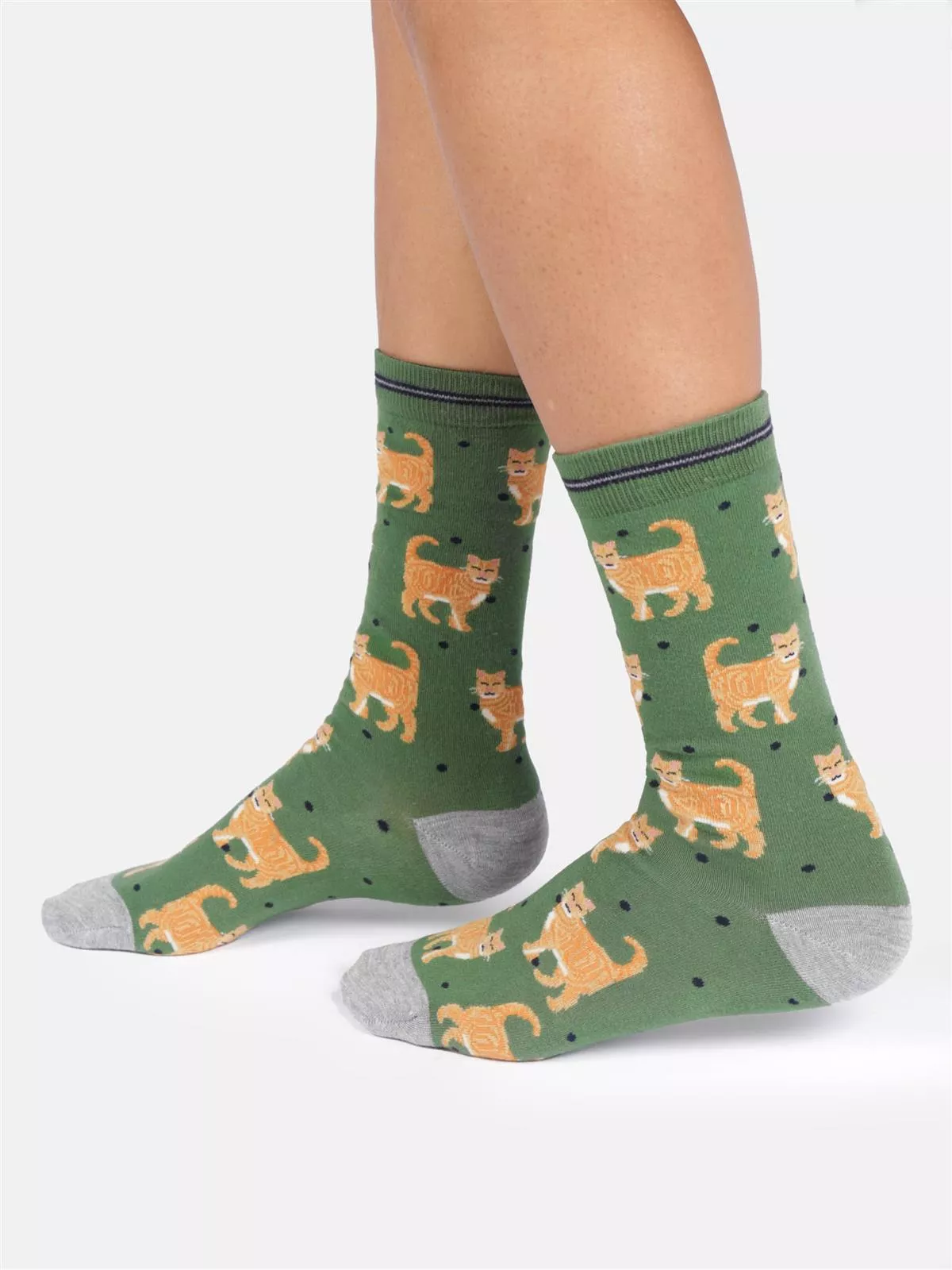Socken Modell: Cats & Dogs