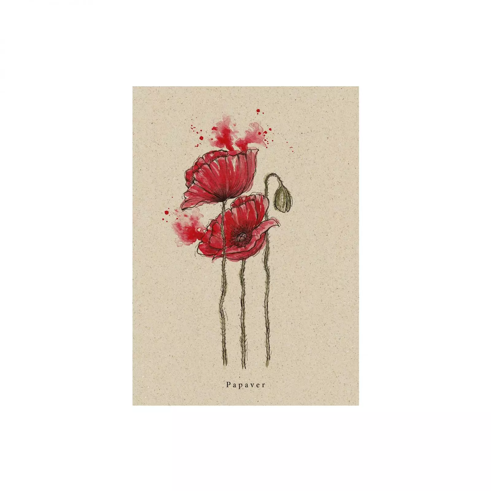 Postkarte Mohn